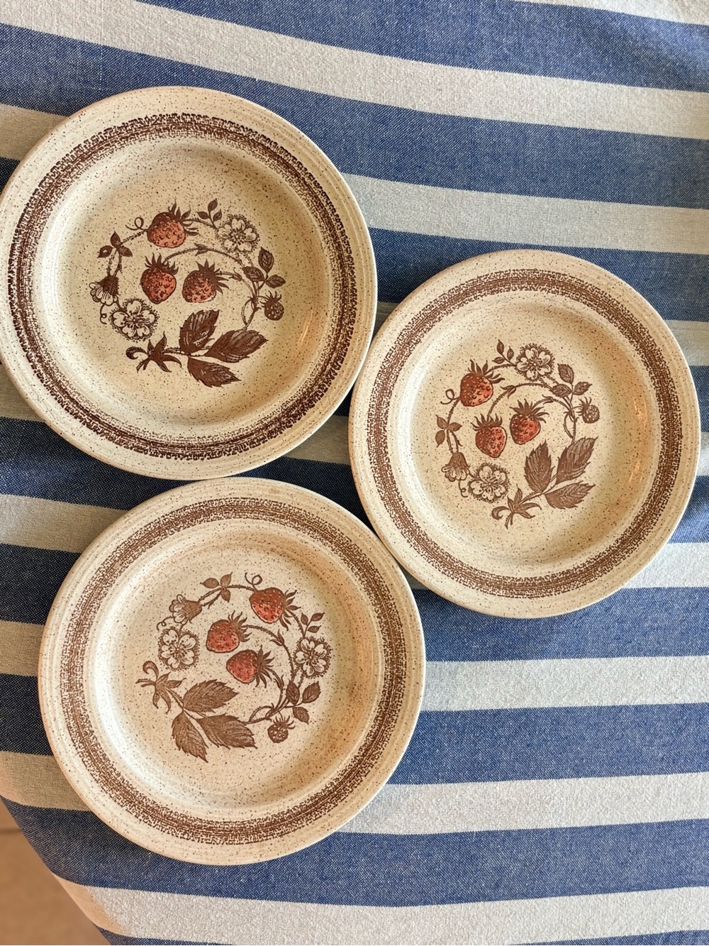 Vintage Churchill Homespun Stonecast Wild Strawberry Dinner Plates (3) England